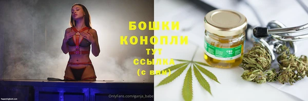 крисы Покровск