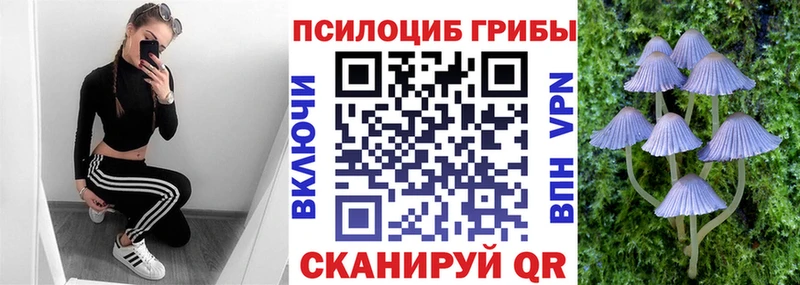 Галлюциногенные грибы MAGIC MUSHROOMS  мега   Яхрома  как найти закладки 